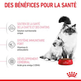 Royal Canin Aliment Sec Pour Chat Mother & Babycat