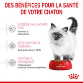 Royal Canin Aliment Sec Pour Chat Kitten