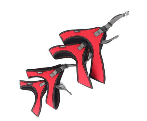 Harnais Spidy Pour Chiens De Moyenne Et Petite Taille Rouge