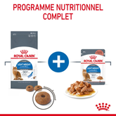 Light Weight Care 1.5kg Royal Canin Aliment Sec pour Chat