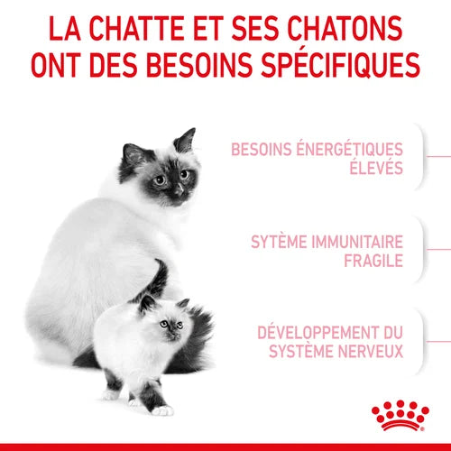 Royal Canin Aliment Sec Pour Chat Mother & Babycat