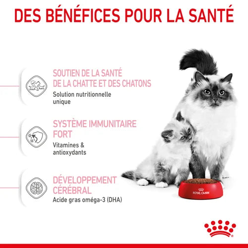 Royal Canin Aliment Sec Pour Chat Mother & Babycat