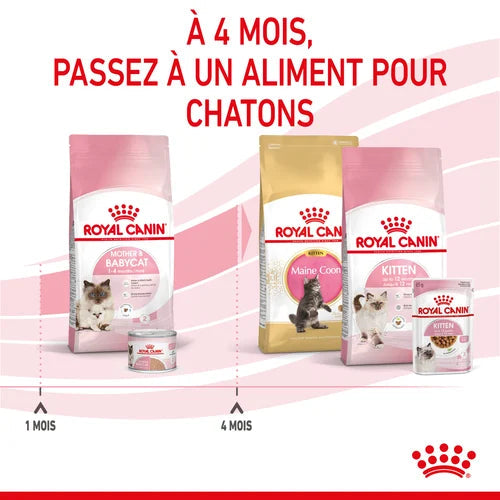 Royal Canin Aliment Sec Pour Chat Mother & Babycat