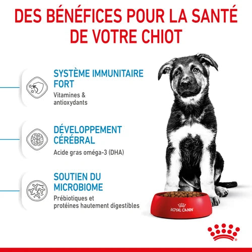 Royal Canin Aliment Sec Chien Maxi Puppy