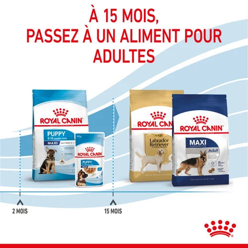 Royal Canin Aliment Sec Chien Maxi Puppy