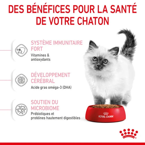 Royal Canin Aliment Sec Pour Chat Kitten
