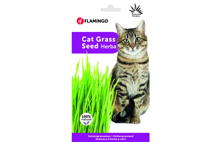 HERBE A CHAT