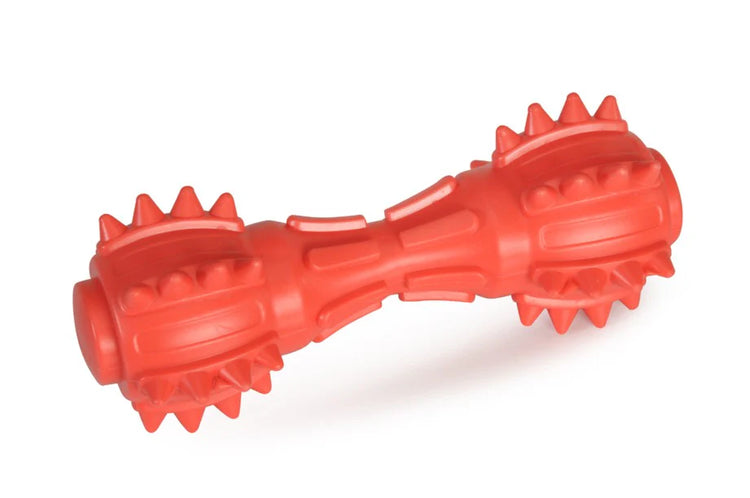 Jouet Pour Chien Os TPE Avec Pointes Et Couineur
