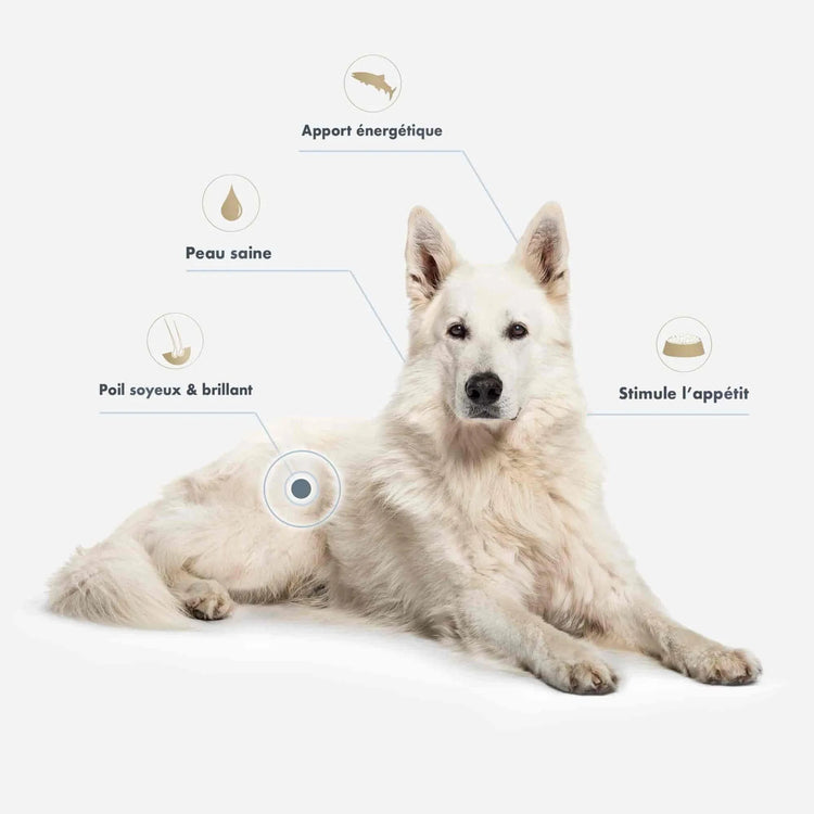 Ultra Premium Direct Huile De Saumon Supplément Pour Chien Et Chat