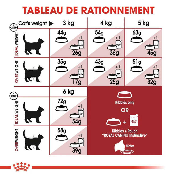 Royal Canin Aliment Sec Pour Chat Fit 32