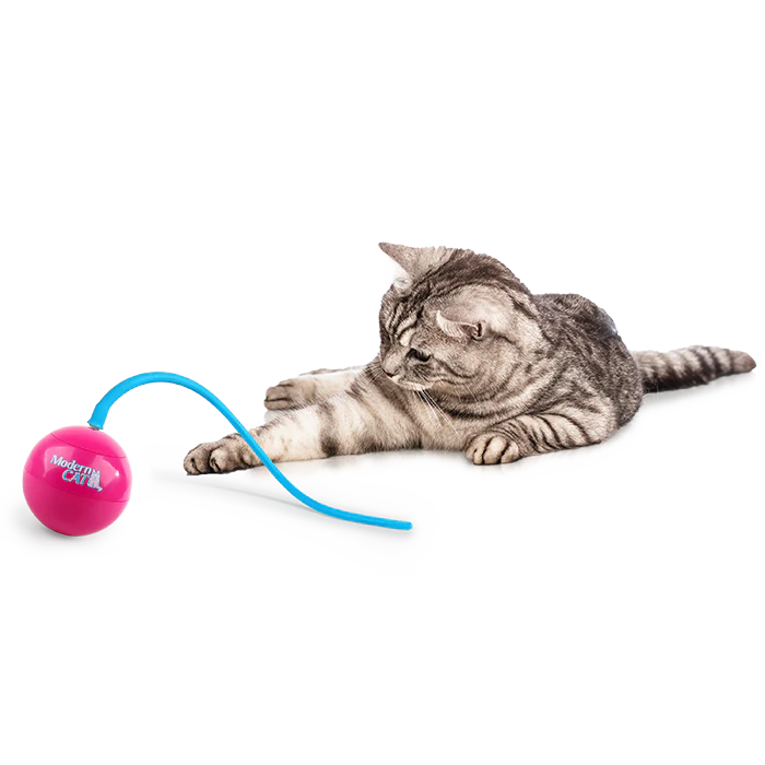 AFP Jouet Pour Chat Whirlling TailBalle Interactive