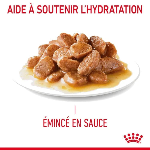 Royal Canin Aliment Humide Chat Hairball Care En Sauce 85G