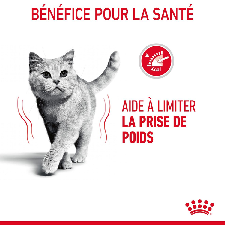 Light Weight Care 1.5kg Royal Canin Aliment Sec pour Chat
