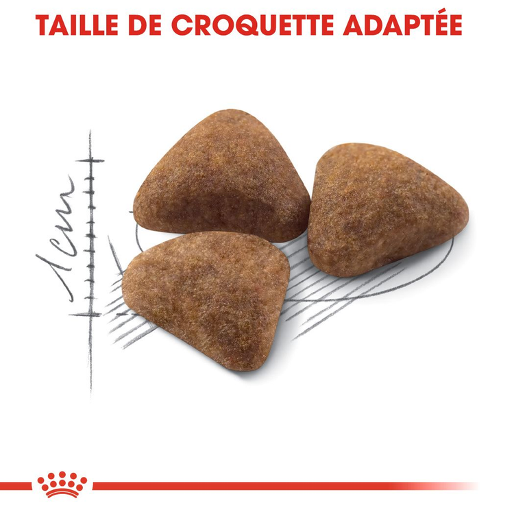 Royal Canin Indoor 27 – Croquettes pour Chat Adulte d’Intérieur