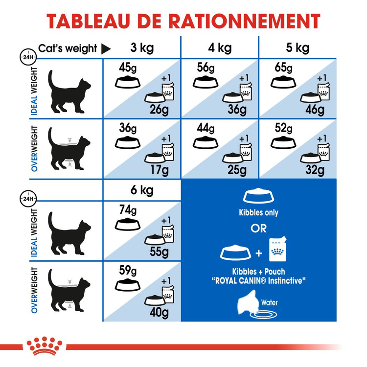 Royal Canin Indoor 27 – Croquettes pour Chat Adulte d’Intérieur