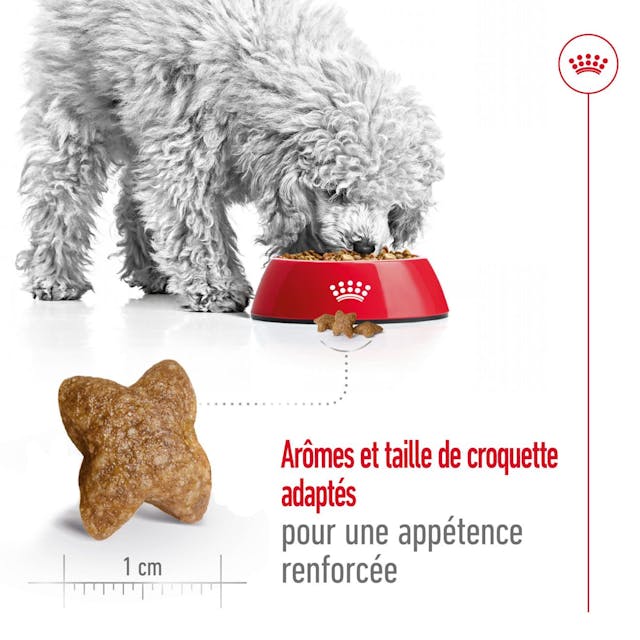 Royal Canin Aliment Sec Chien Mini Adult