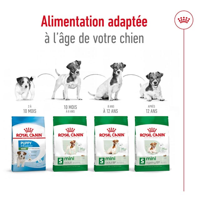 Royal Canin Aliment Sec Chien Mini Adult
